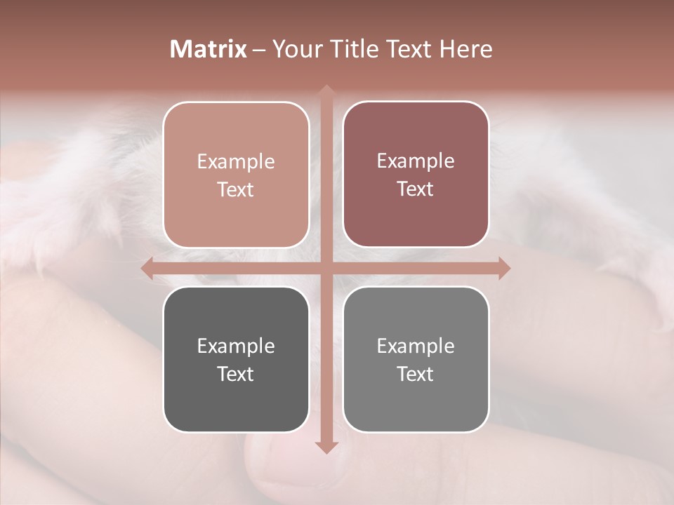 People Di Cu Ion Teamwork PowerPoint Template