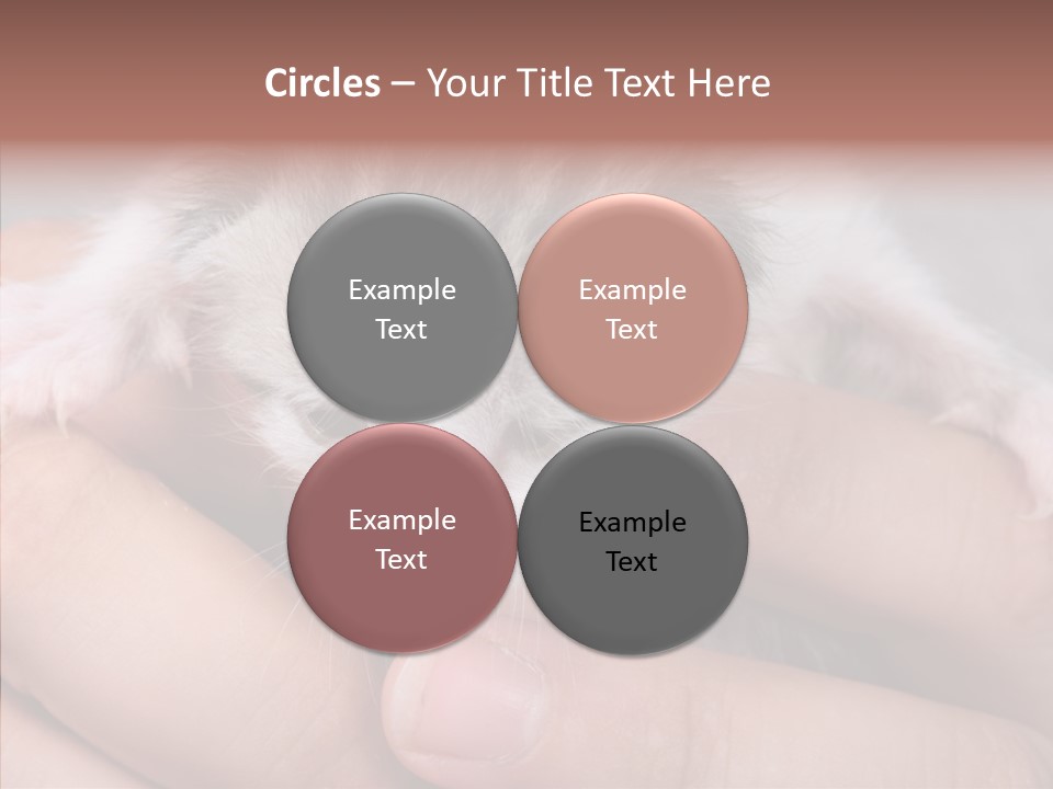 People Di Cu Ion Teamwork PowerPoint Template