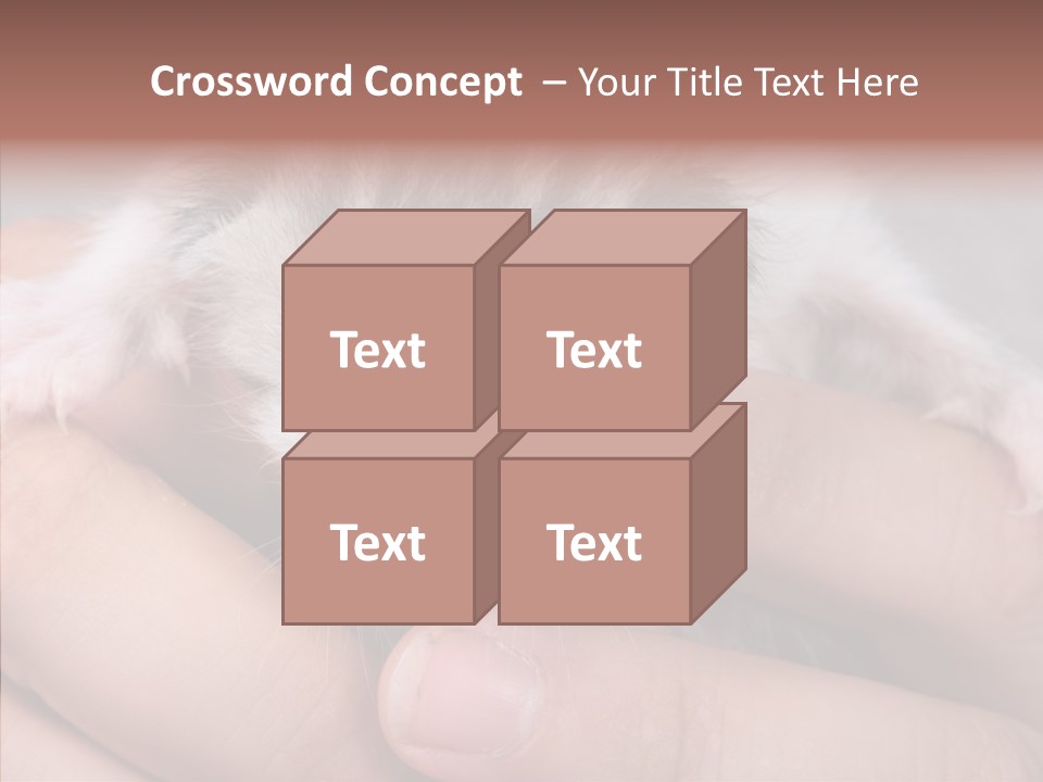 People Di Cu Ion Teamwork PowerPoint Template