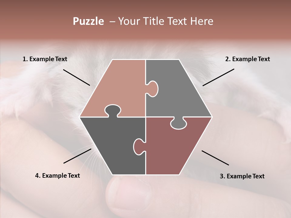 People Di Cu Ion Teamwork PowerPoint Template