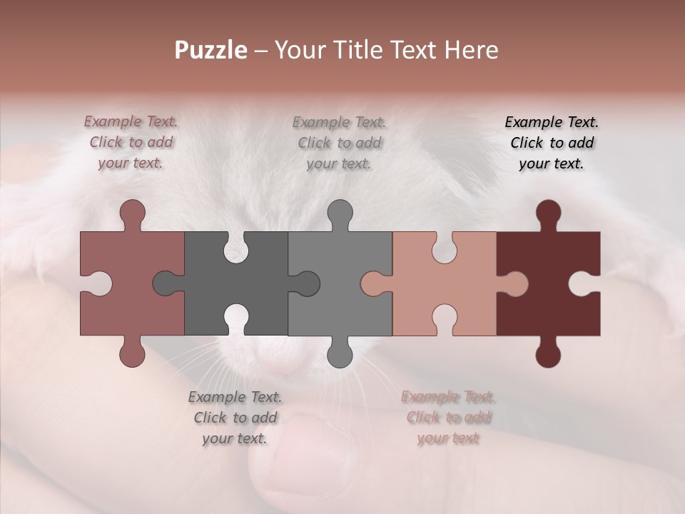 People Di Cu Ion Teamwork PowerPoint Template