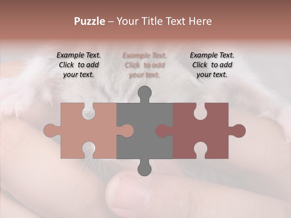 People Di Cu Ion Teamwork PowerPoint Template