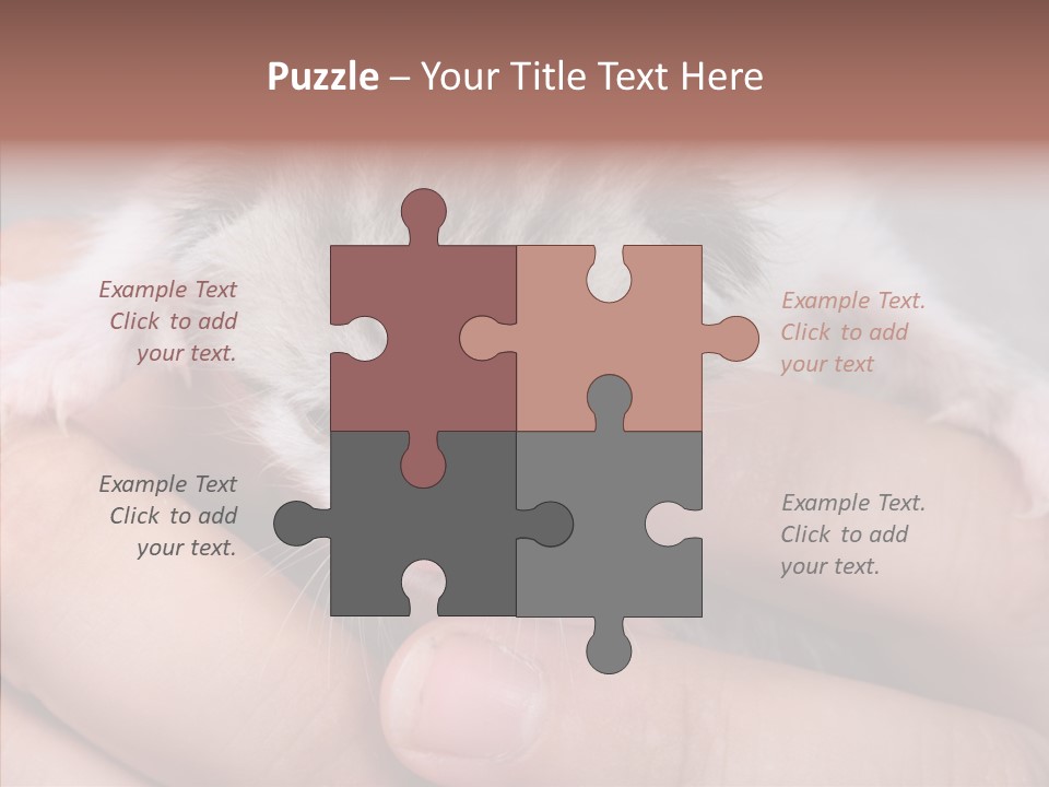 People Di Cu Ion Teamwork PowerPoint Template