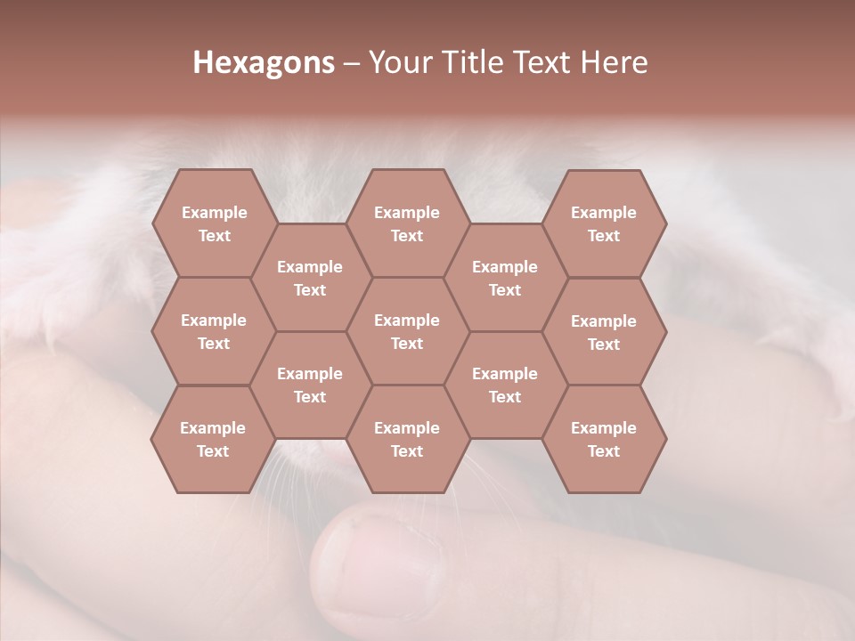 People Di Cu Ion Teamwork PowerPoint Template