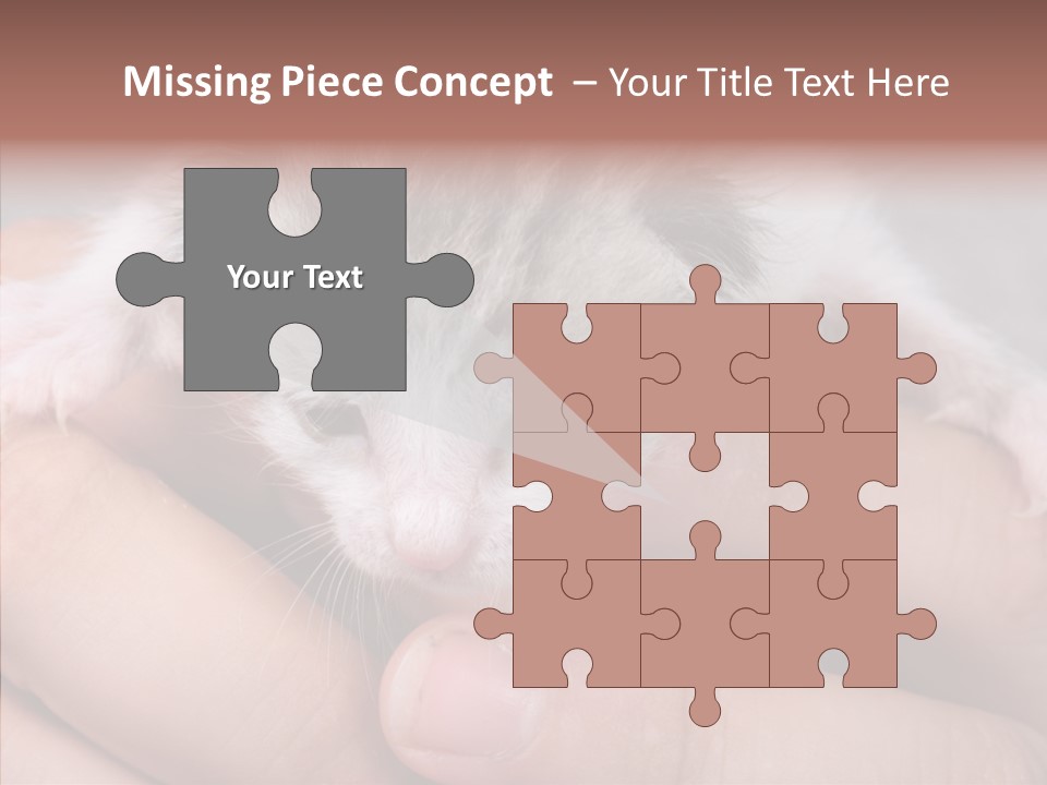 People Di Cu Ion Teamwork PowerPoint Template