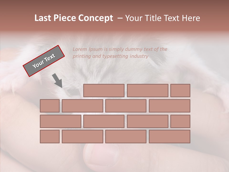 People Di Cu Ion Teamwork PowerPoint Template