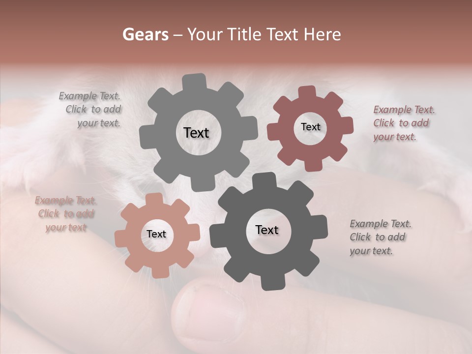 People Di Cu Ion Teamwork PowerPoint Template