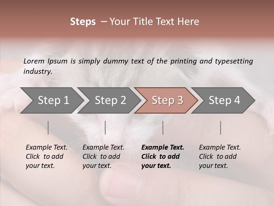 People Di Cu Ion Teamwork PowerPoint Template