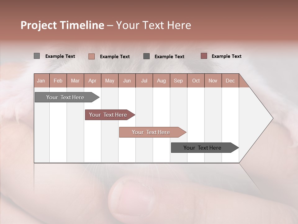 People Di Cu Ion Teamwork PowerPoint Template