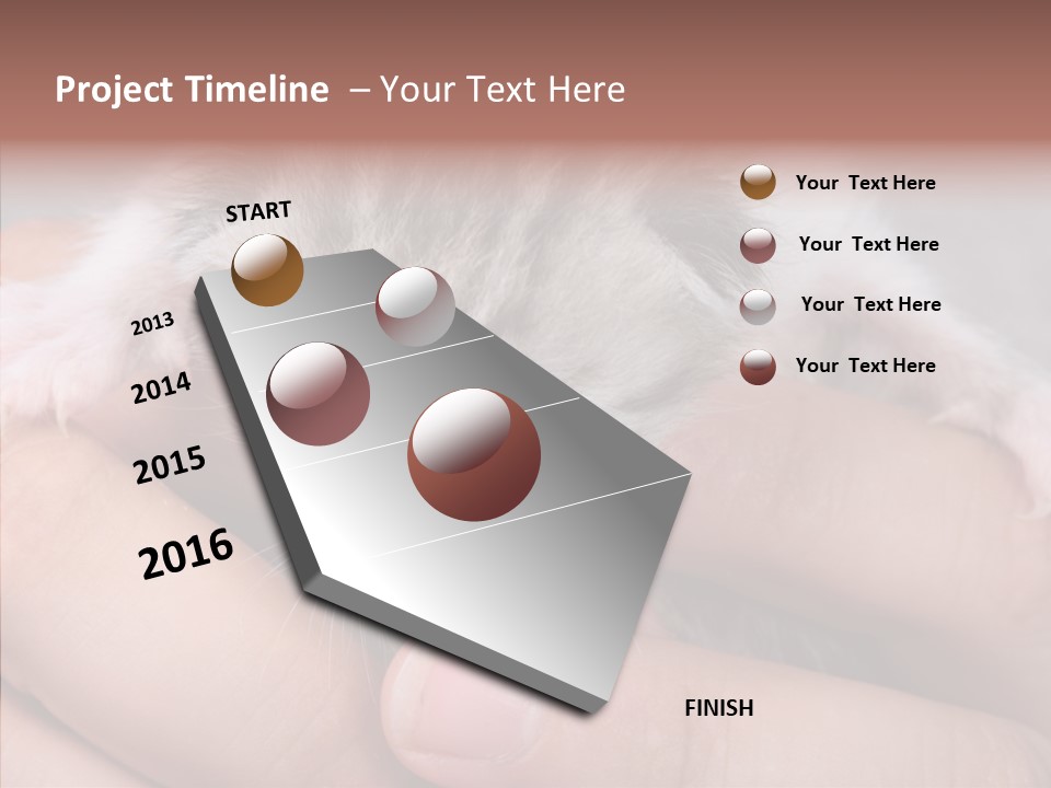 People Di Cu Ion Teamwork PowerPoint Template