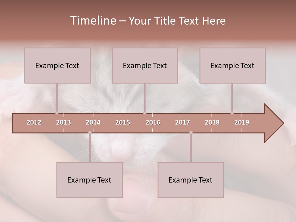 People Di Cu Ion Teamwork PowerPoint Template