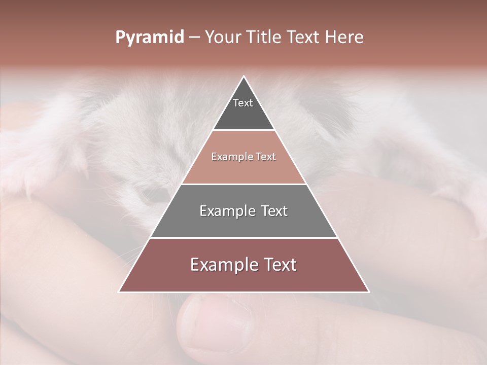 People Di Cu Ion Teamwork PowerPoint Template