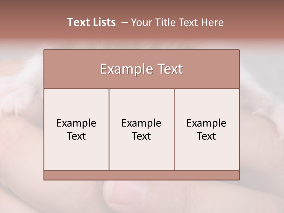 People Di Cu Ion Teamwork PowerPoint Template