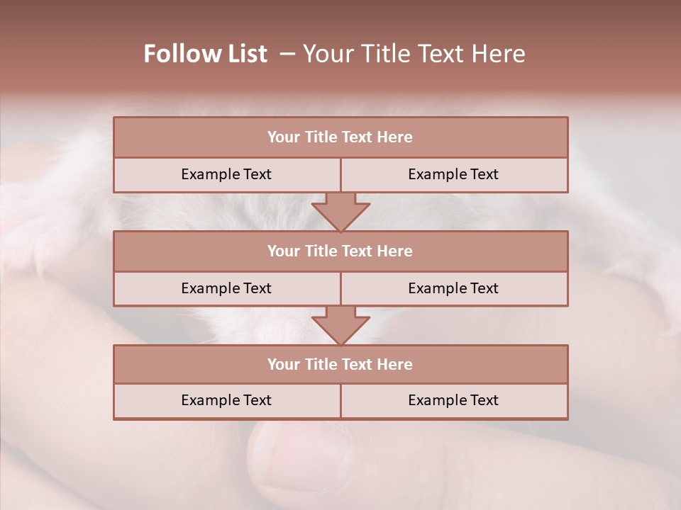 People Di Cu Ion Teamwork PowerPoint Template