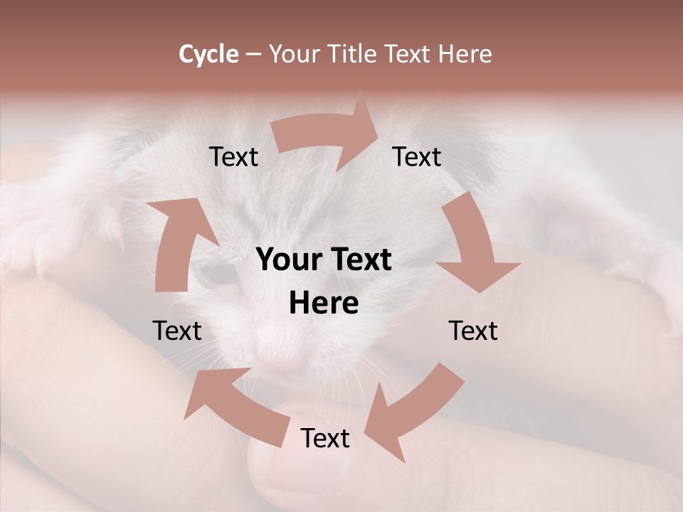 People Di Cu Ion Teamwork PowerPoint Template