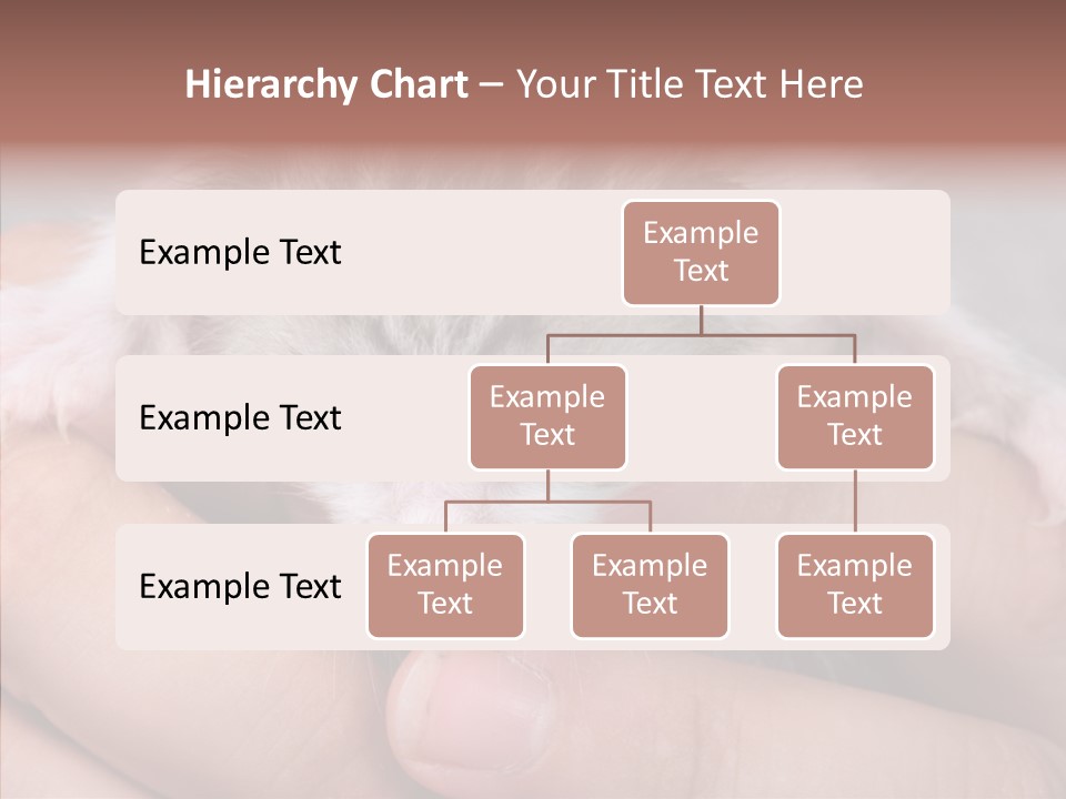 People Di Cu Ion Teamwork PowerPoint Template