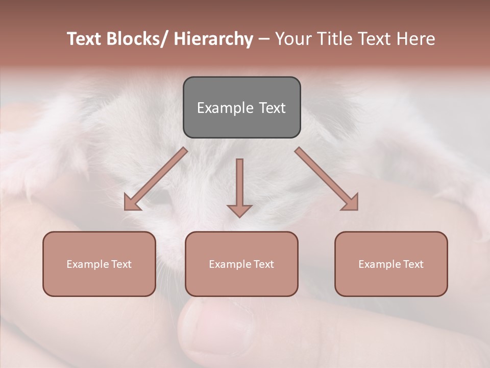 People Di Cu Ion Teamwork PowerPoint Template