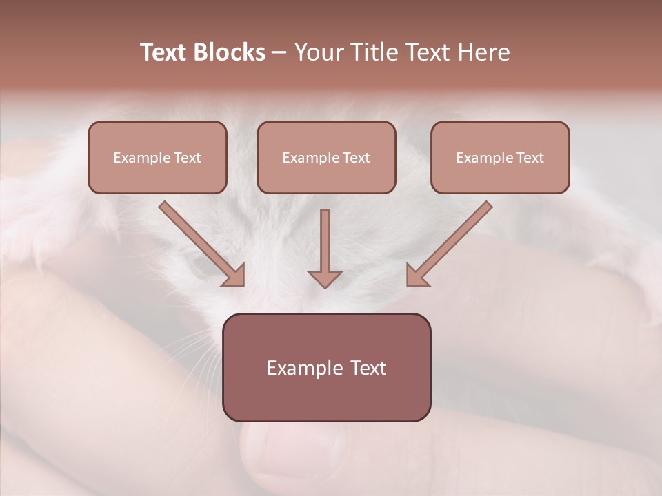 People Di Cu Ion Teamwork PowerPoint Template
