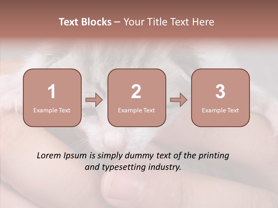 People Di Cu Ion Teamwork PowerPoint Template