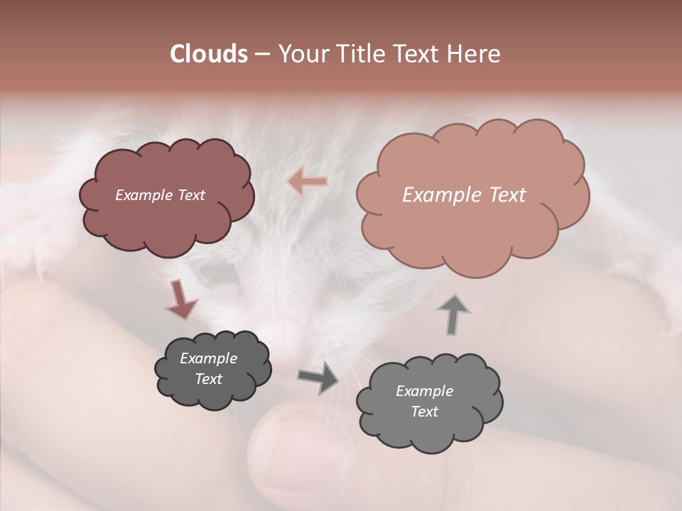 People Di Cu Ion Teamwork PowerPoint Template