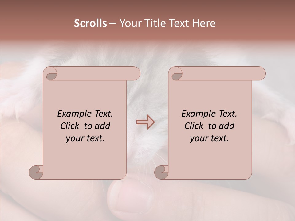 People Di Cu Ion Teamwork PowerPoint Template