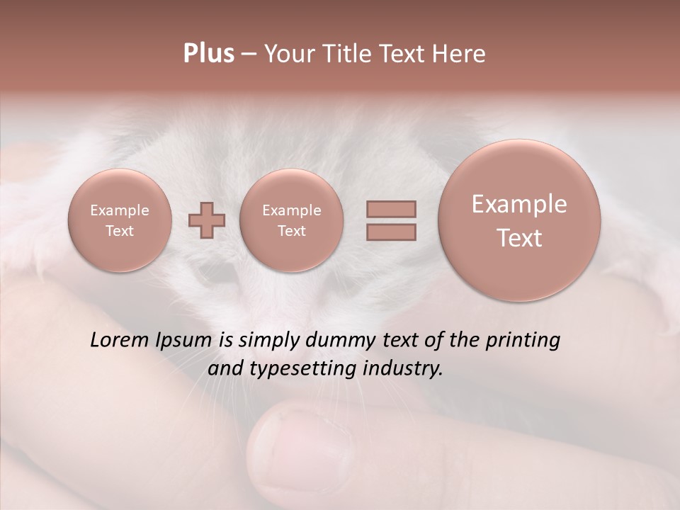 People Di Cu Ion Teamwork PowerPoint Template