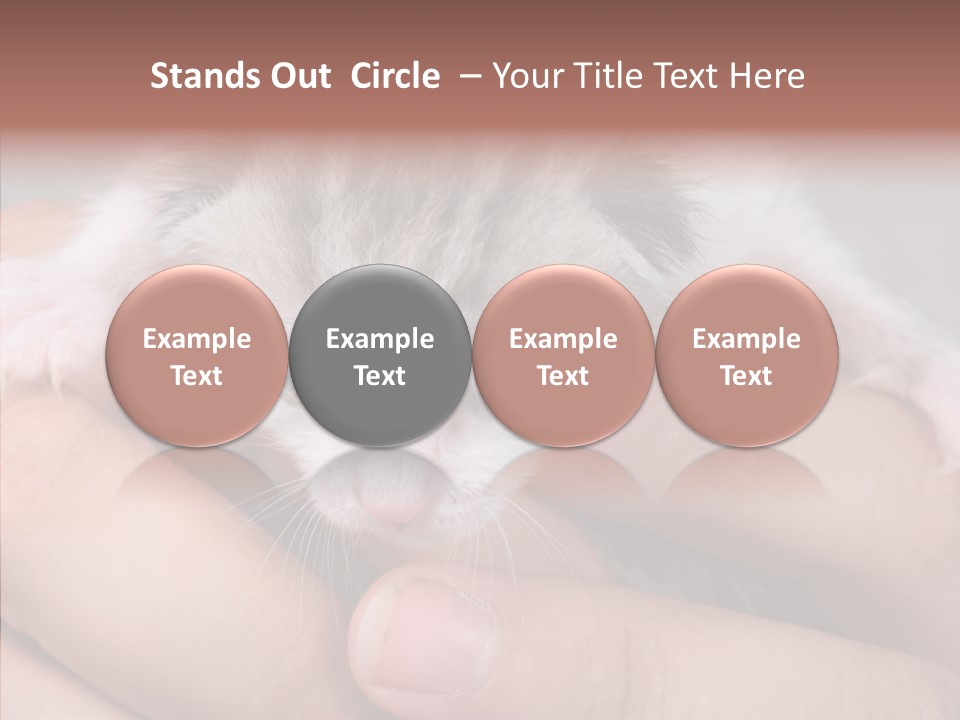 People Di Cu Ion Teamwork PowerPoint Template