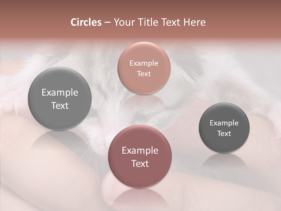 People Di Cu Ion Teamwork PowerPoint Template