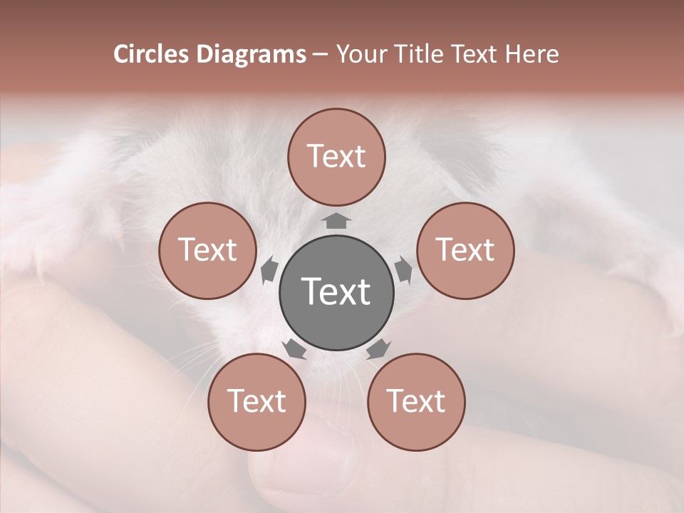 People Di Cu Ion Teamwork PowerPoint Template