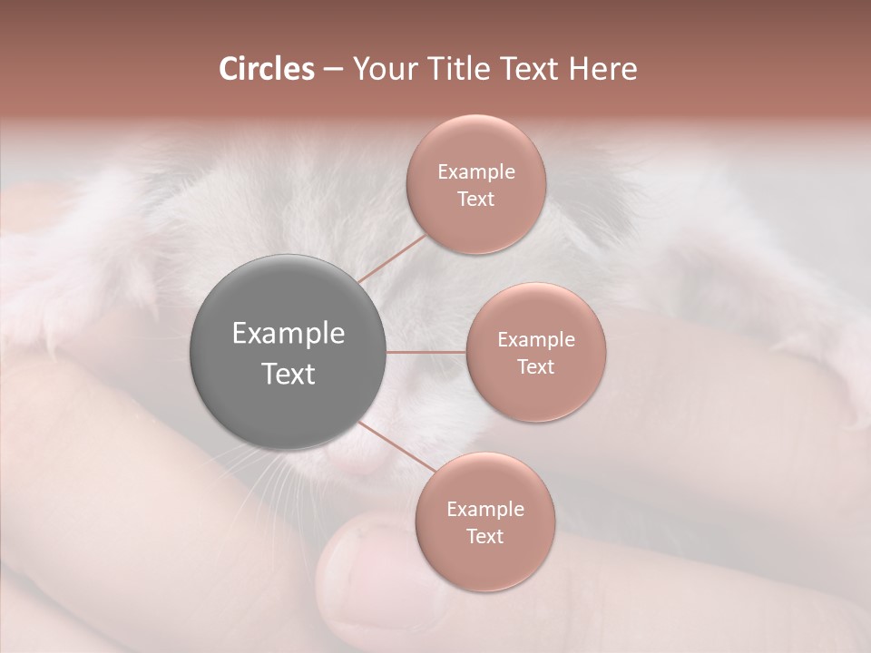 People Di Cu Ion Teamwork PowerPoint Template