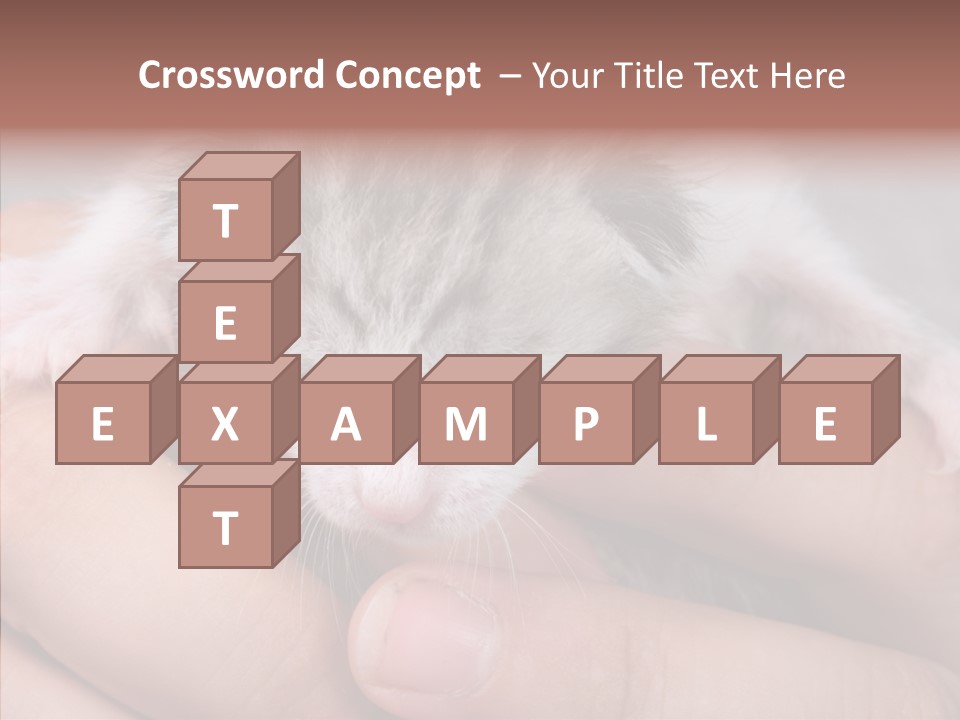 People Di Cu Ion Teamwork PowerPoint Template