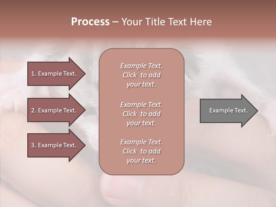 People Di Cu Ion Teamwork PowerPoint Template