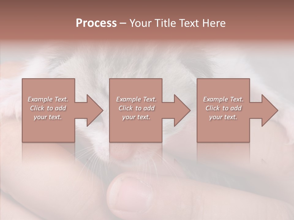 People Di Cu Ion Teamwork PowerPoint Template
