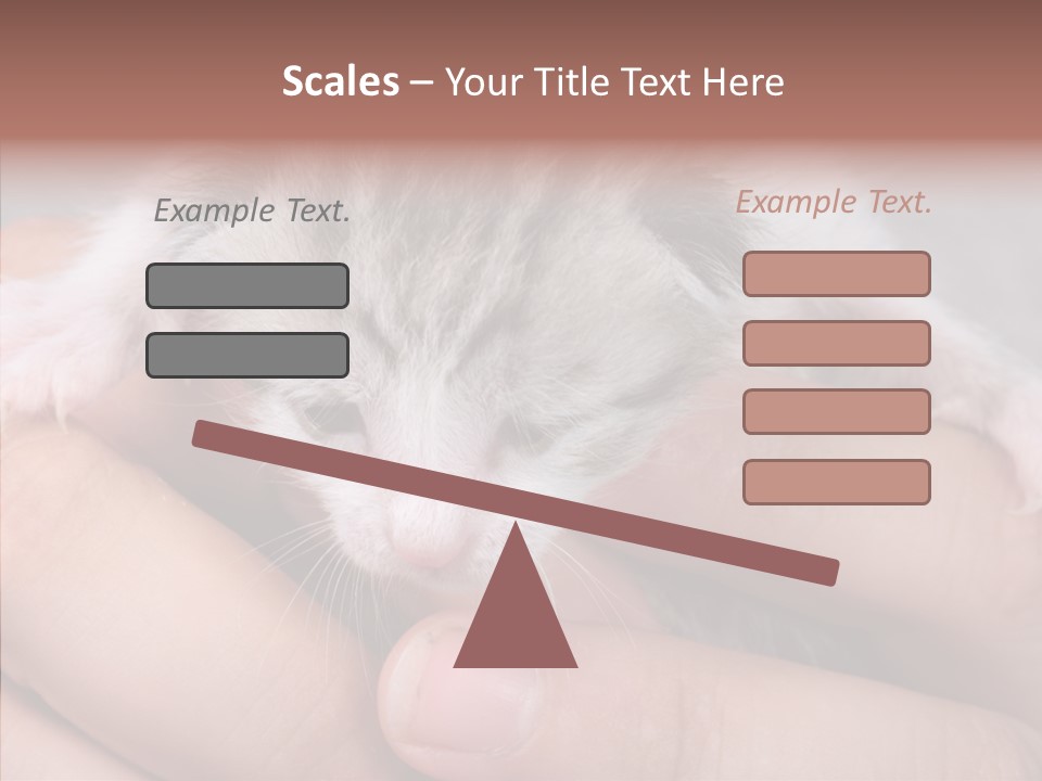 People Di Cu Ion Teamwork PowerPoint Template