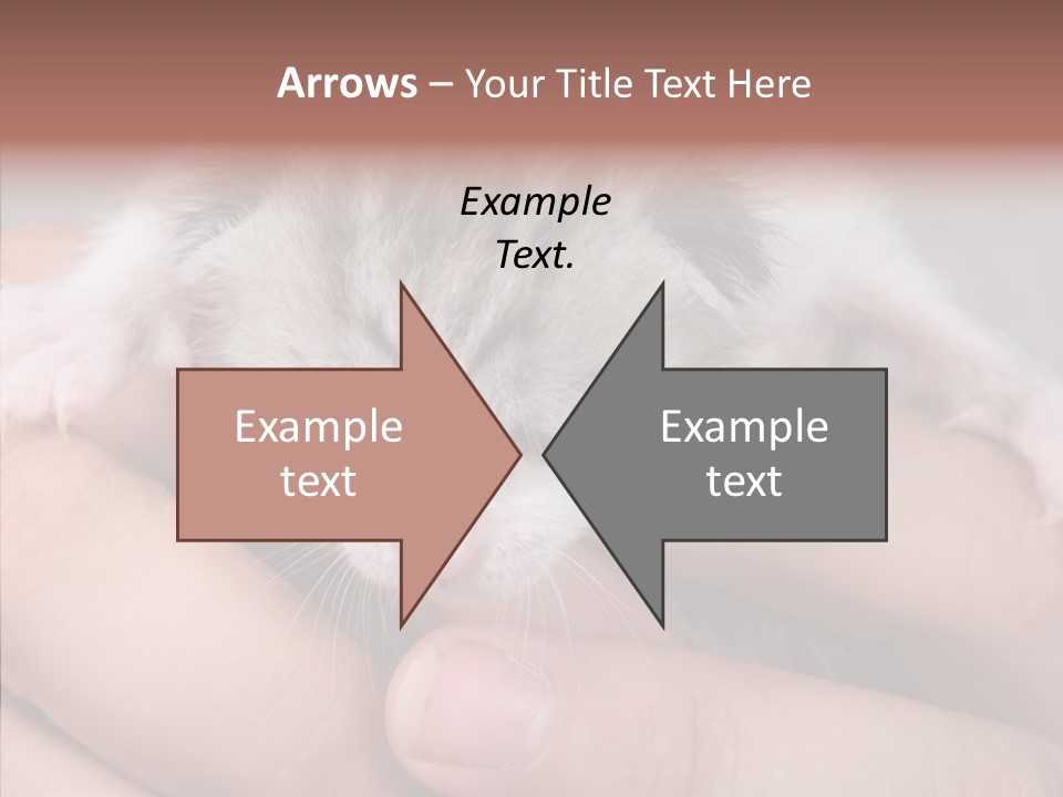 People Di Cu Ion Teamwork PowerPoint Template