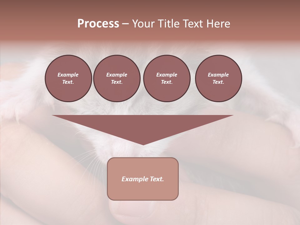 People Di Cu Ion Teamwork PowerPoint Template