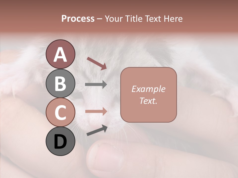 People Di Cu Ion Teamwork PowerPoint Template