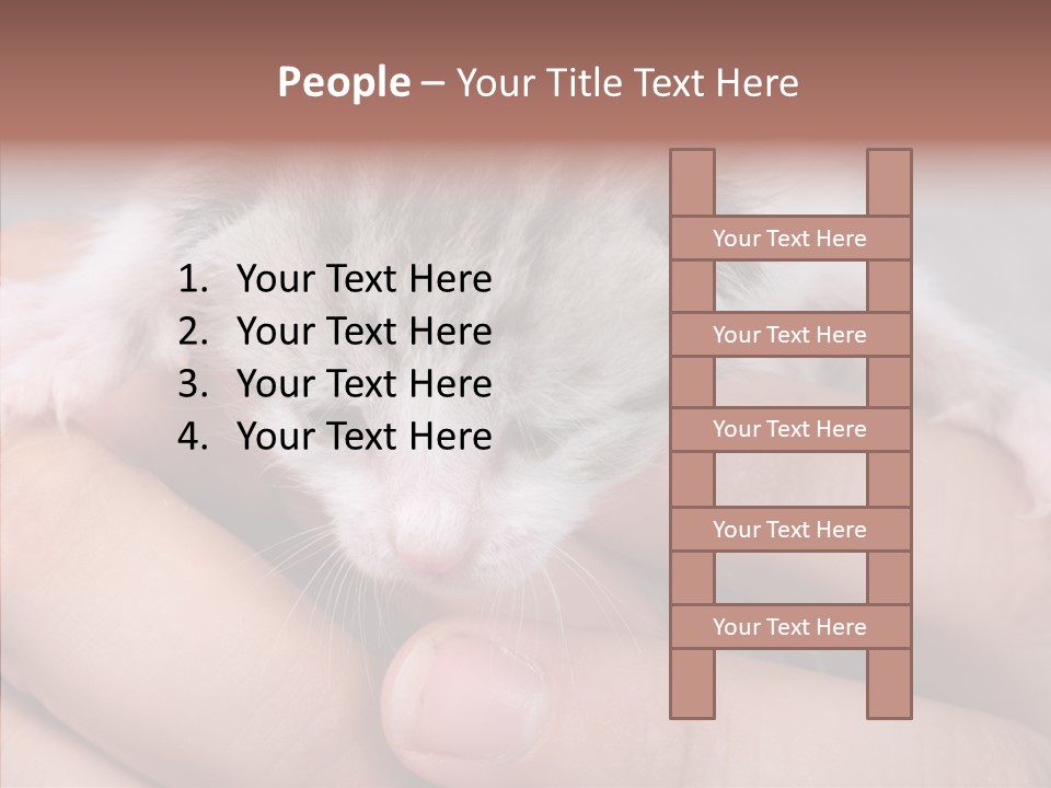 People Di Cu Ion Teamwork PowerPoint Template