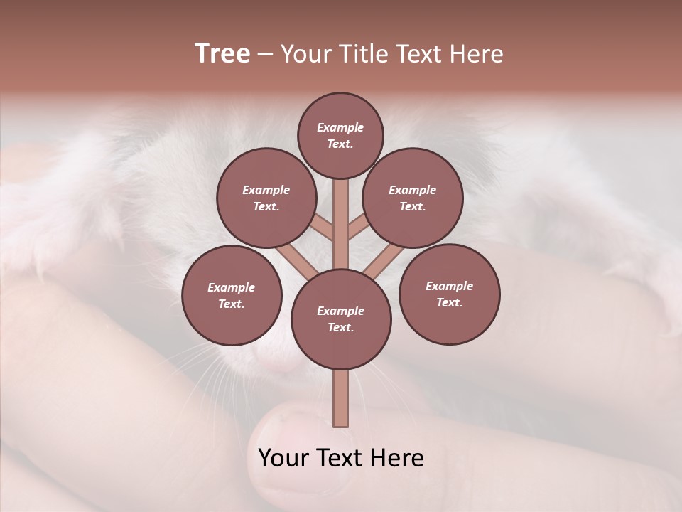 People Di Cu Ion Teamwork PowerPoint Template