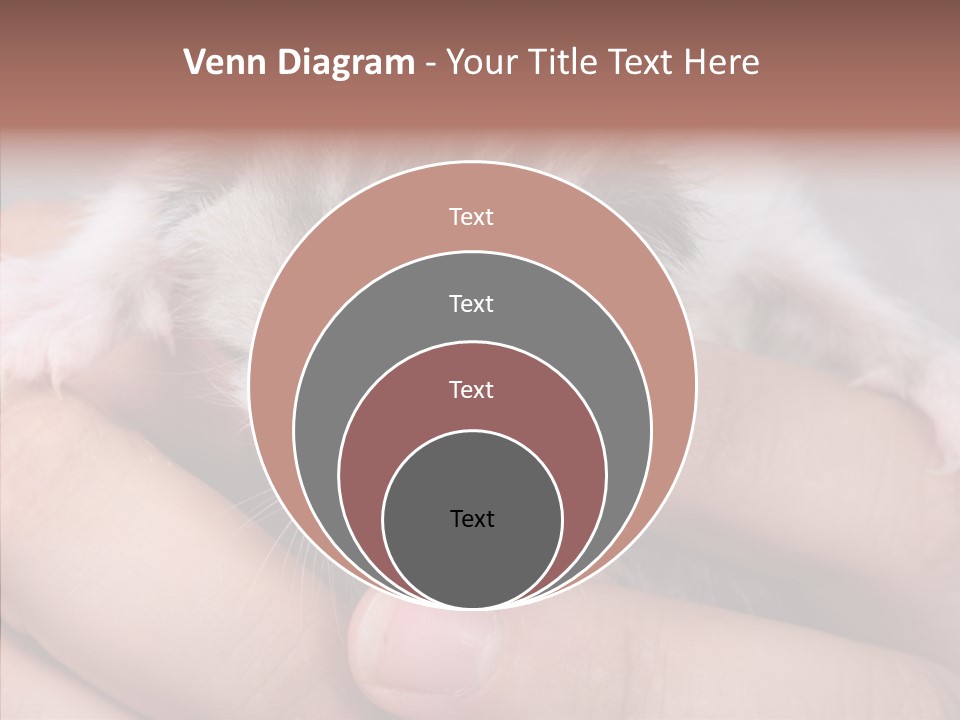 People Di Cu Ion Teamwork PowerPoint Template