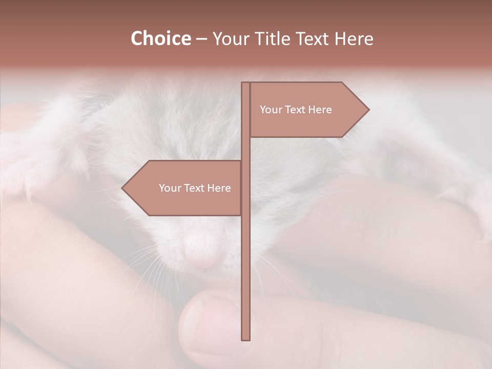 People Di Cu Ion Teamwork PowerPoint Template