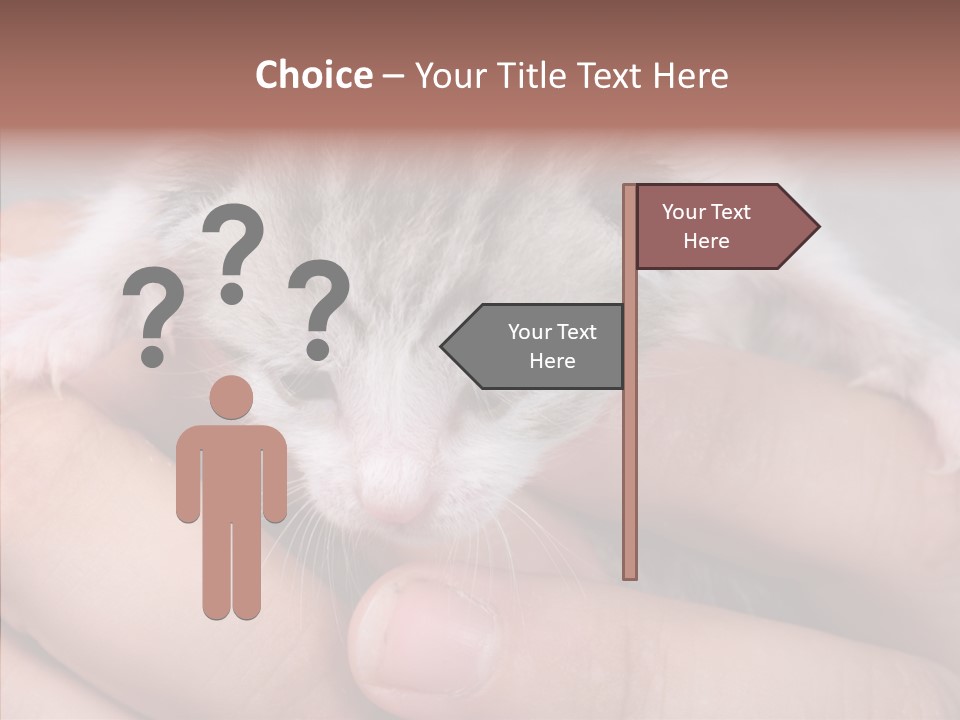 People Di Cu Ion Teamwork PowerPoint Template