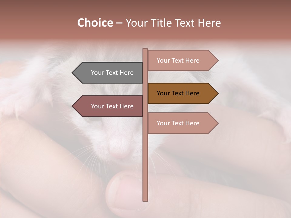 People Di Cu Ion Teamwork PowerPoint Template