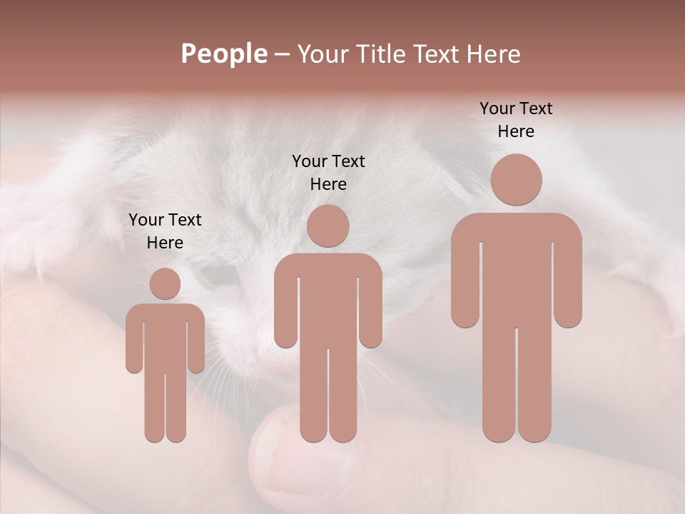 People Di Cu Ion Teamwork PowerPoint Template