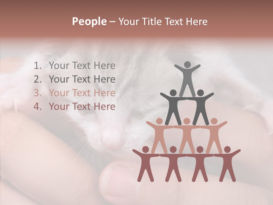 People Di Cu Ion Teamwork PowerPoint Template