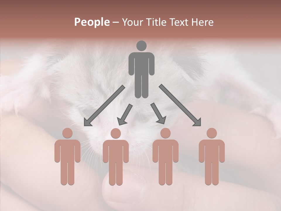 People Di Cu Ion Teamwork PowerPoint Template