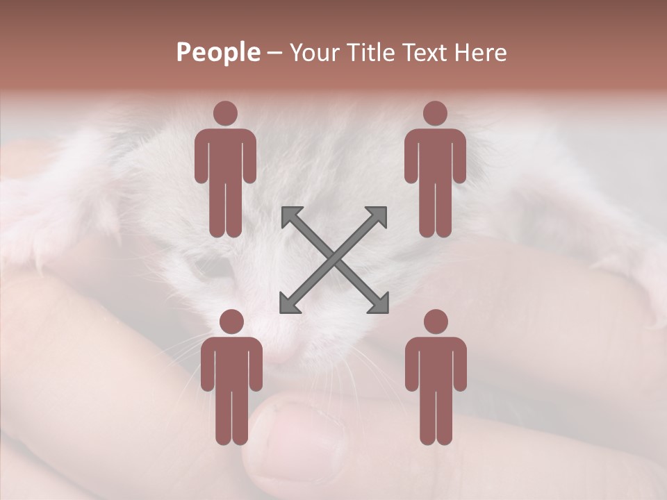People Di Cu Ion Teamwork PowerPoint Template