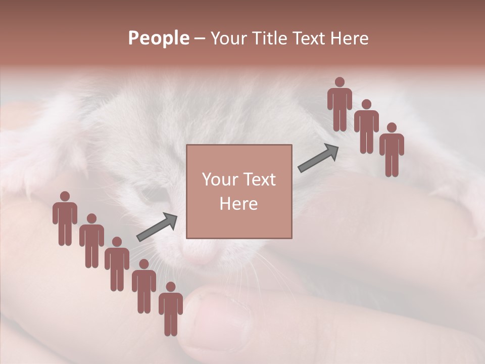 People Di Cu Ion Teamwork PowerPoint Template