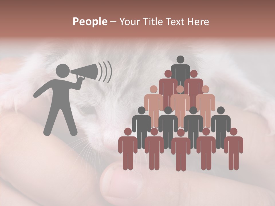 People Di Cu Ion Teamwork PowerPoint Template