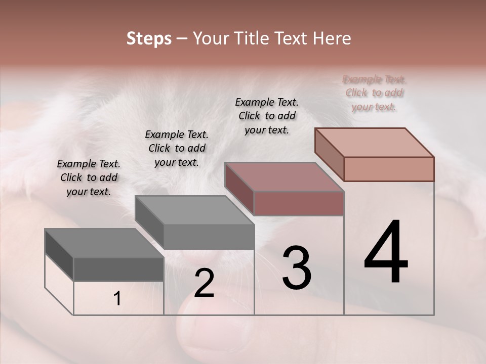 People Di Cu Ion Teamwork PowerPoint Template